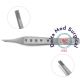 Adson-Brown Forceps – Fenestrated Handles | Precision Tissue Forceps